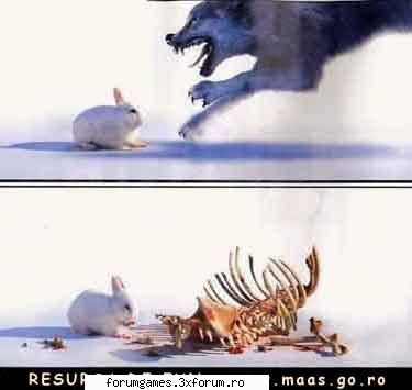 uitativa - ov - Imagini haioase!