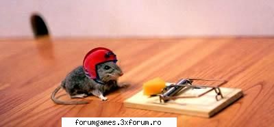 uitativa - ov - Imagini haioase!